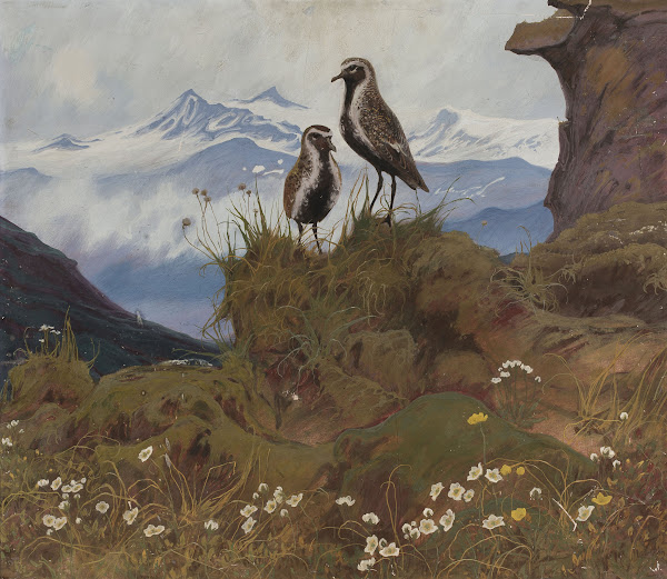 Two Birds In A Mountain Landscape 1912