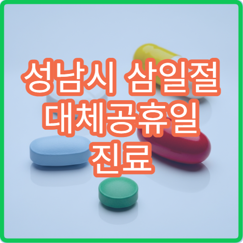 성남시 삼일절 대체공휴일 진료 병원 어디서 찾을까? 공휴일 진료 시간 및 응급실 운영 정보