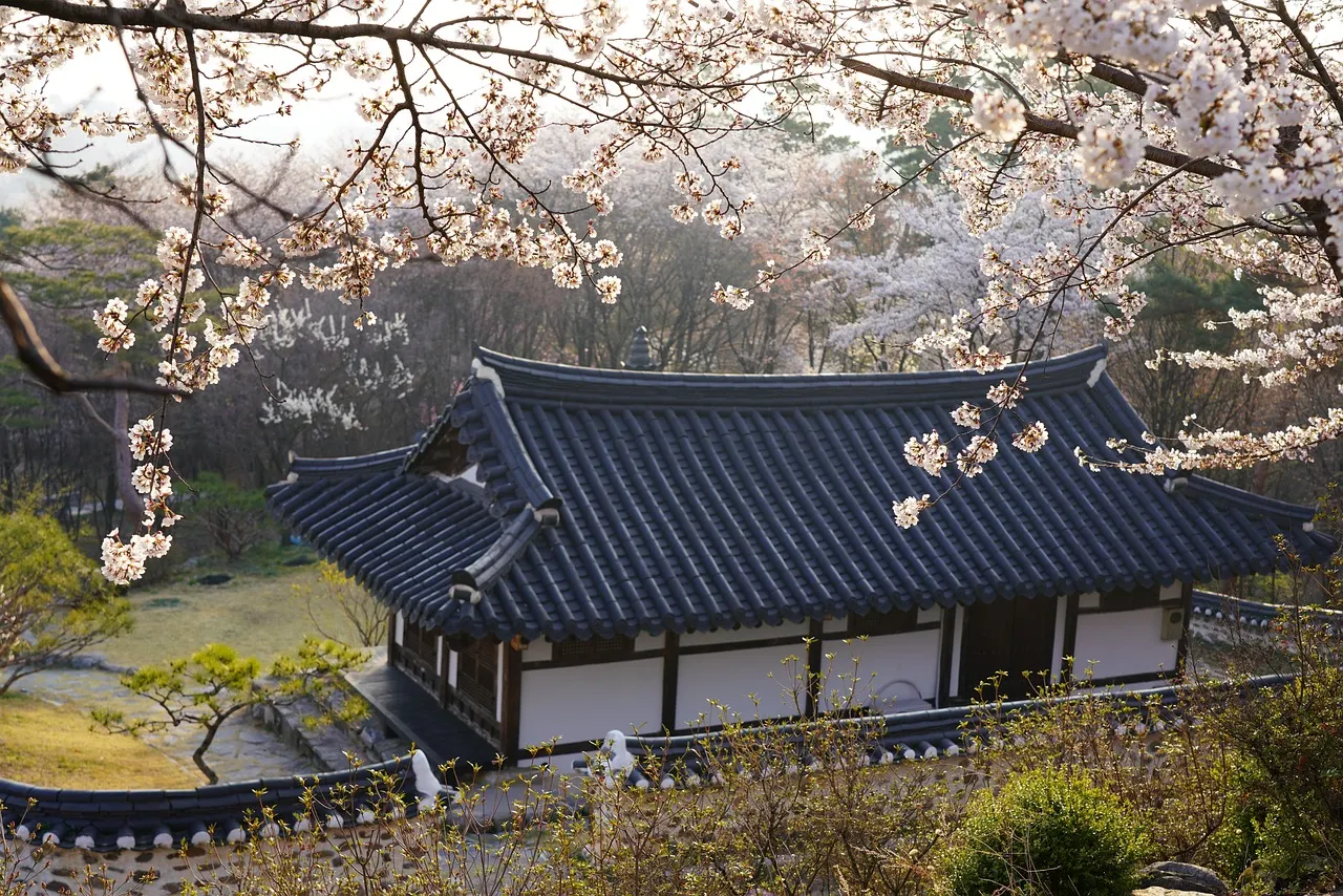 섹션 2 이미지