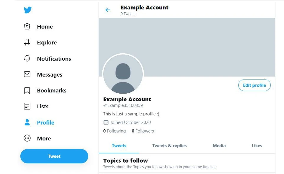 Captura de TwitterBio