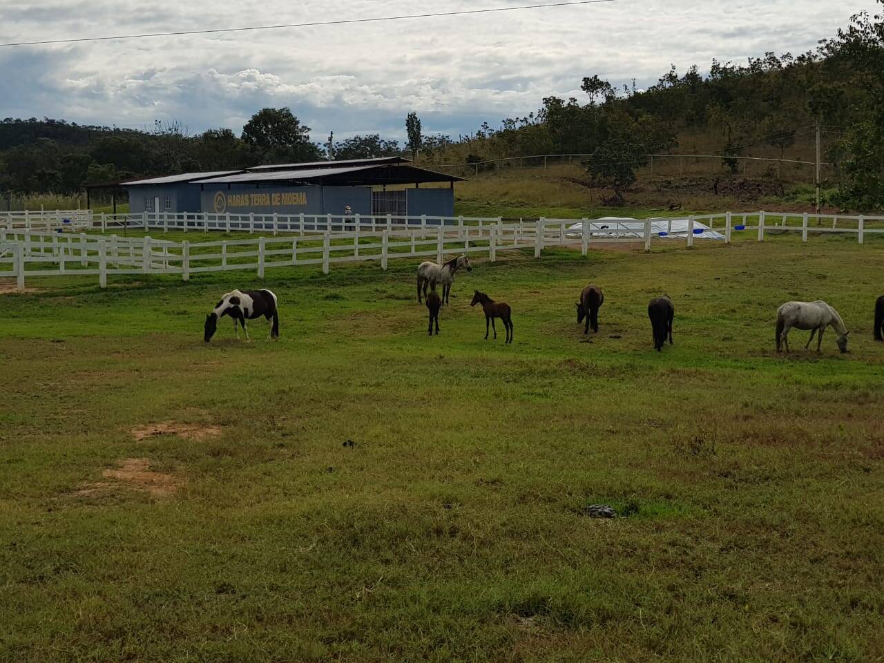 Fazenda em Niquelândia - GO 4