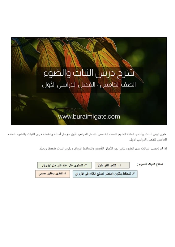 صورة الغلاف