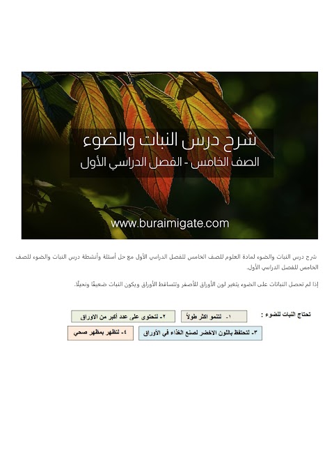شرح درس النبات والضوء - بوابة البريمي - علوم الصف 5 الفصل 1