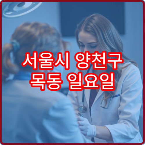 서울시 양천구 목동 일요일 진료 가능한 피부과 두드러기 발진 상담 가이드