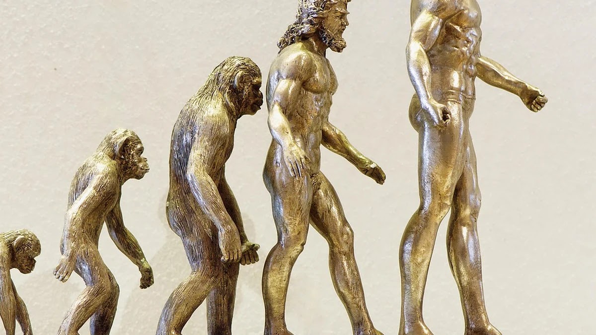 민주주의라는 단어가 시대마다 지닌 다양한 뜻