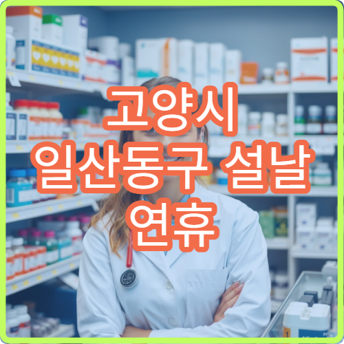 고양시 일산동구 설날 연휴 응급의학과 운영 병원 찾기