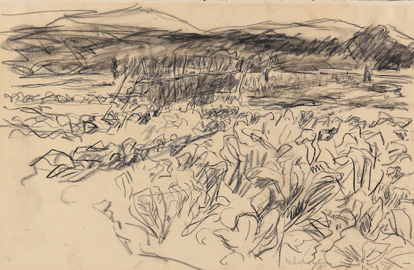 Kohlfeld 1912