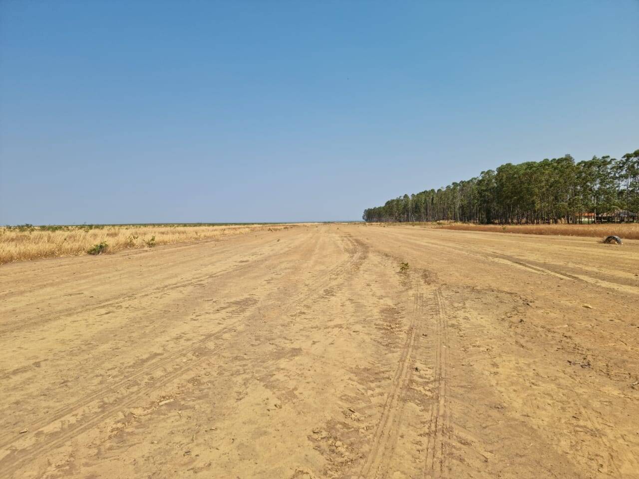 Fazenda em Palmeira do Piauí-PI 2