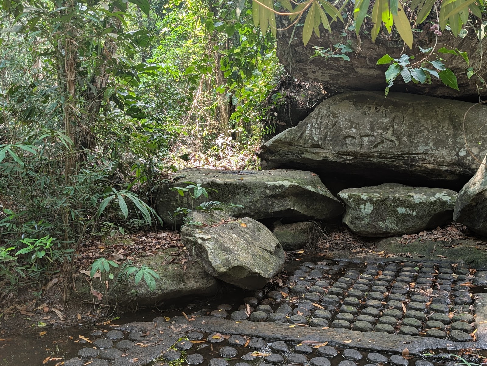 Another view of carved stones, these besides some jungle
                 plants and natural boulders. The stone level with the ground
                 has circles carved into it, resembling floor tiles. Another
                 carving of a horse or cow is on the side of one of the
                 boulders.