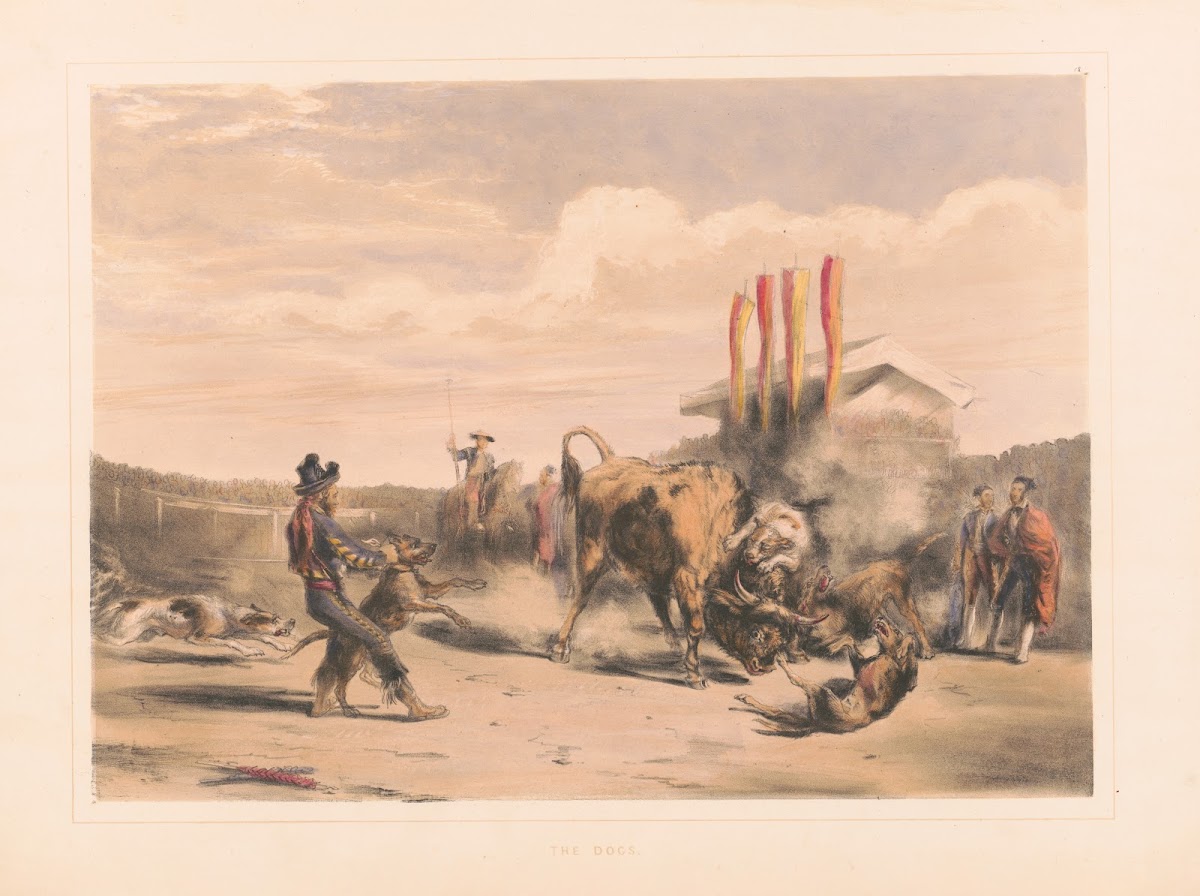 The dogs 1860 1870