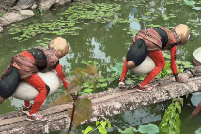 Vũ điệu 'đàn kiến tha mồi' gây chú ý ở khu du lịch Ninh Bình - Tạp chí Tri thức