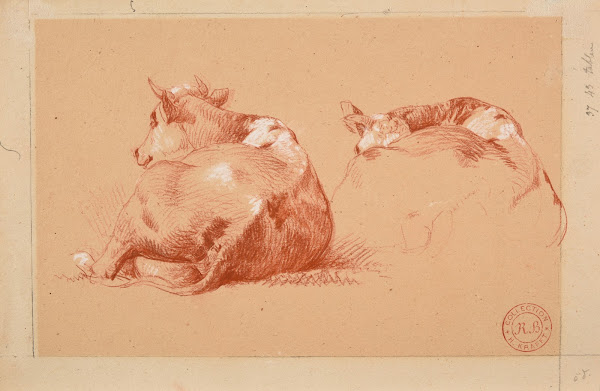 Deux études de vache couchée