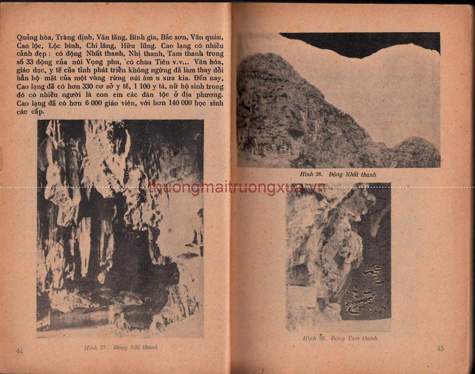 Tập san : Mực tím (số 62 - 1992) - Trang 24