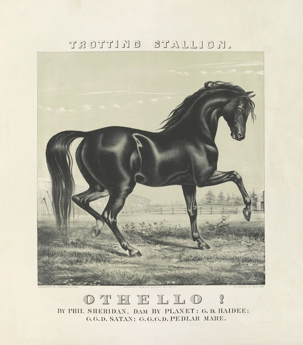 Othello trotting stallion 1879