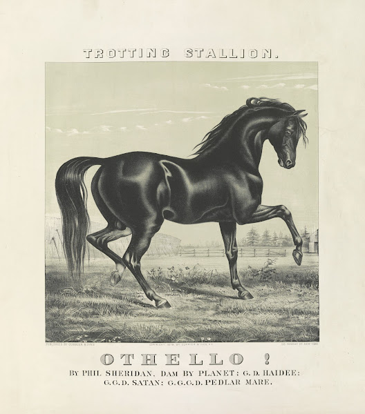 Othello trotting stallion 1879