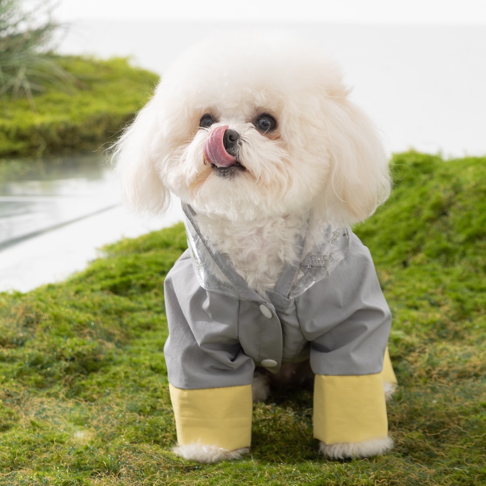 Regenmantel für Hunde, Nylon, wasserdicht