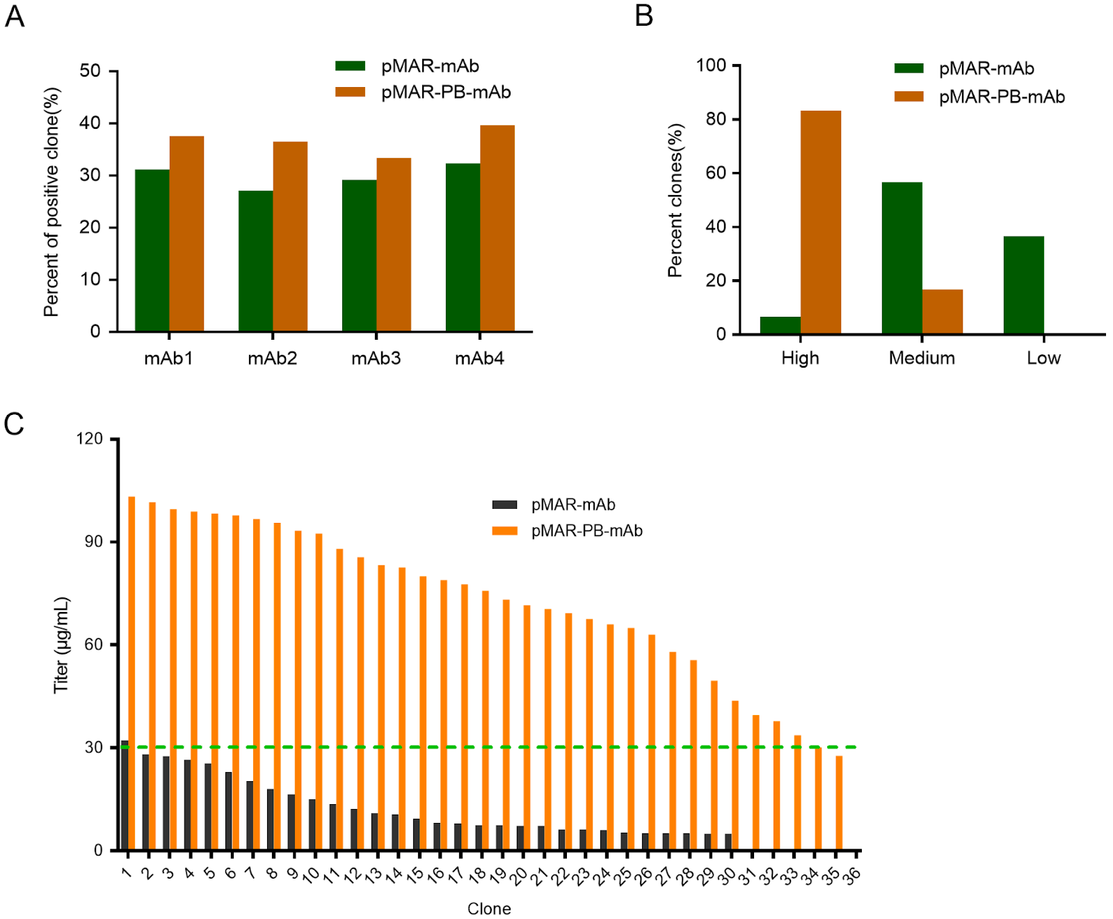 Efficient production of recombinant mAbs mediated by a MAR-enhanced transposon vector combined with blasticidin selection in CHO cells