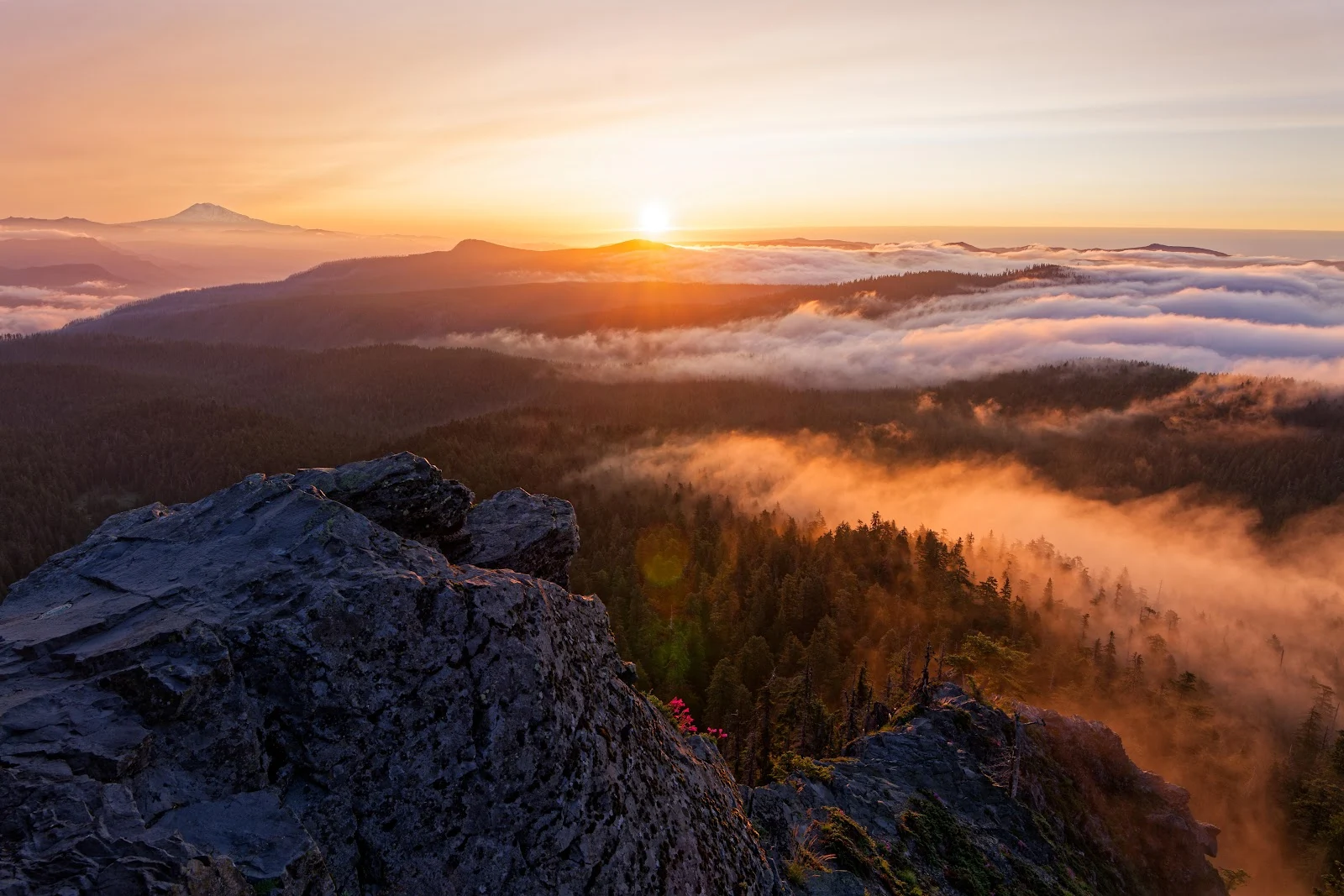 Golden Sunrise Over Forest Fog - Nature Photography 8K Wallpaper (8127x5422)