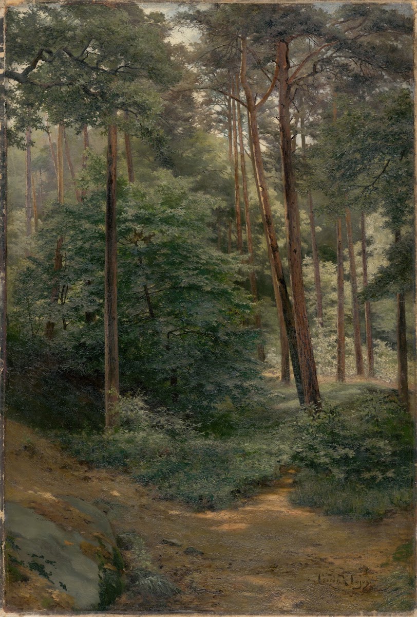Forest 1894