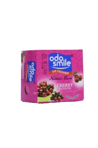 Odo Air Freshener Block