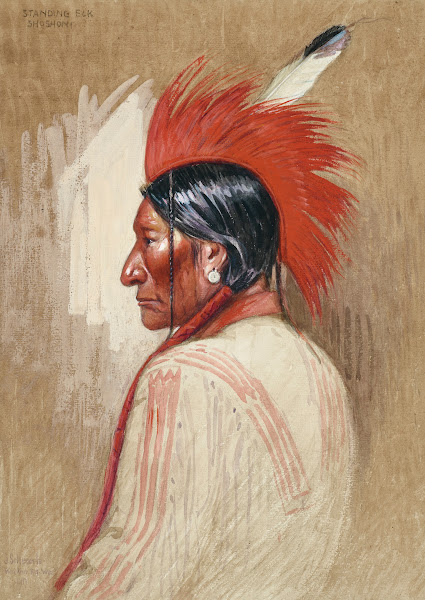 Standing Elk Shoshoni 1917