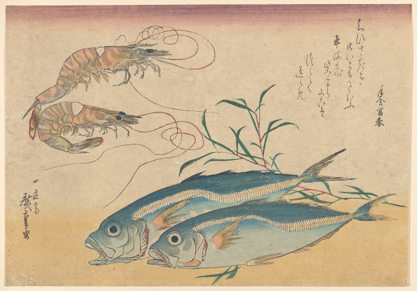 Kuruma Ebi Aji Prawns and Horse Mackerel 19th century