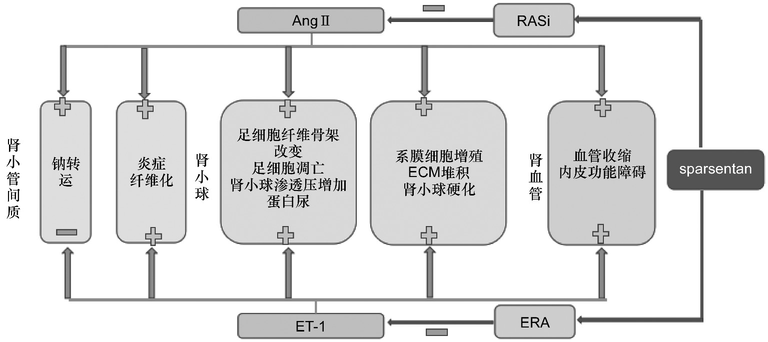 A Novel Approach for the Treatment of Hepatocellular Carcinoma Using a Combination of Sorafenib and a Novel Drug Delivery System