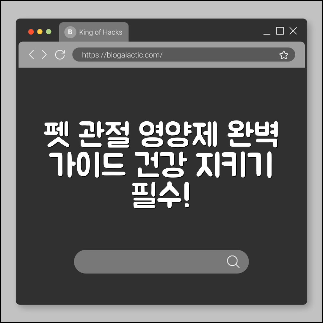 펫 관절 영양제 완벽 가이드
