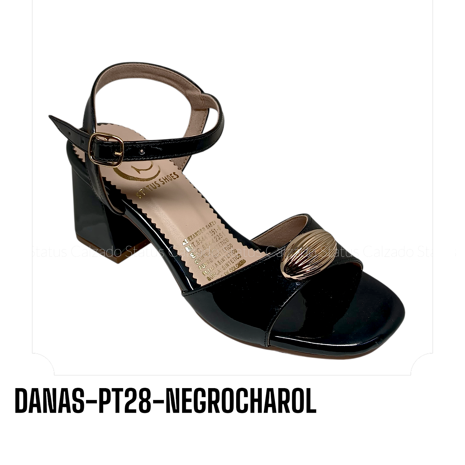 DANAS-PT28-NEGROCHAROL