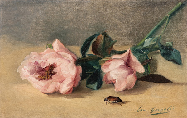 Les pivoines et le hanneton 1871