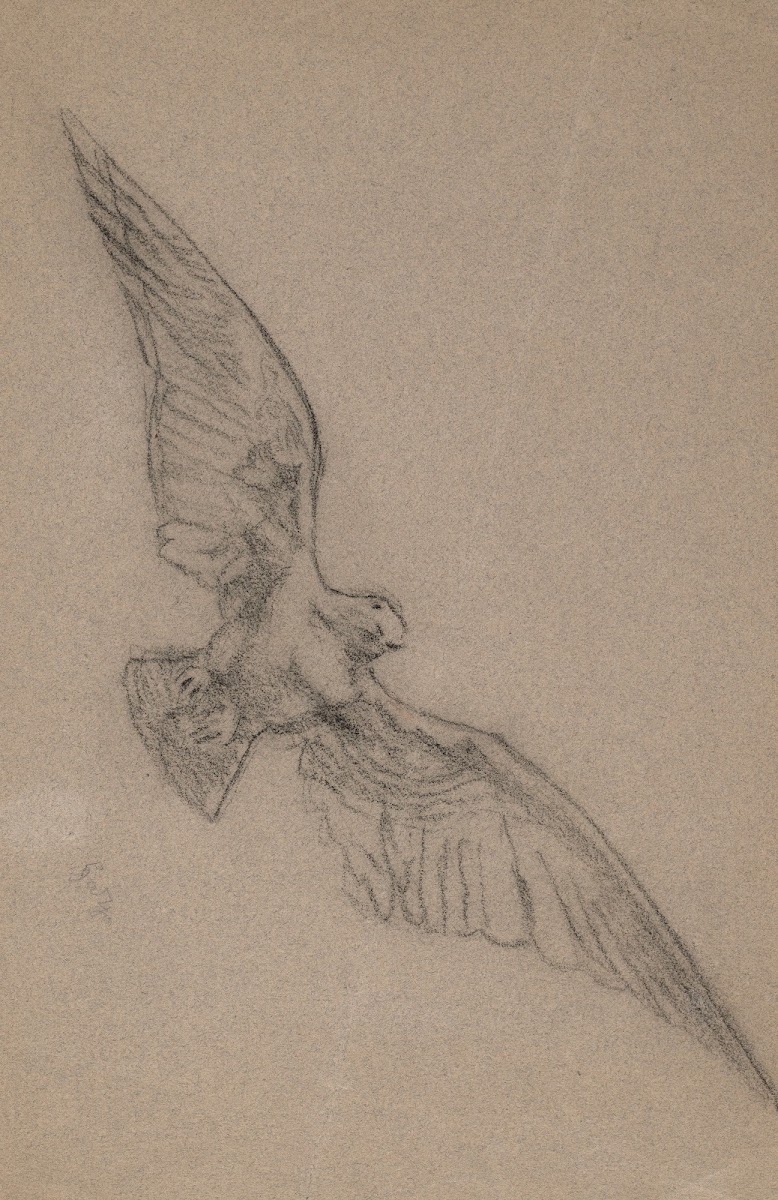 Bird in Flight 1890   1900