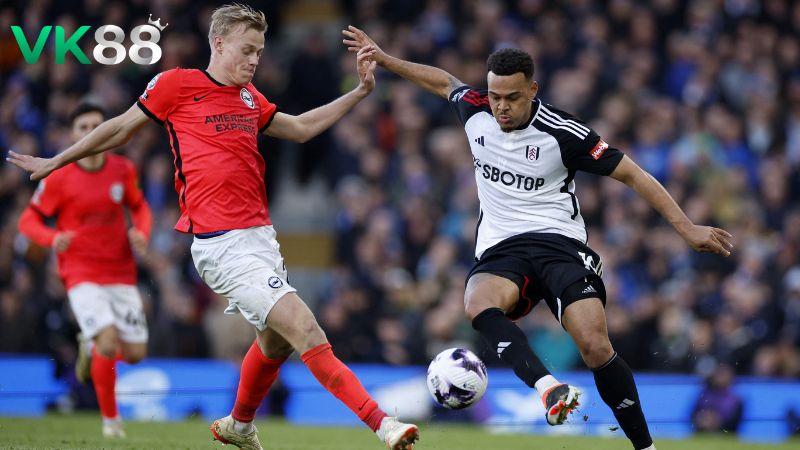 Lịch sử đối đầu Fulham vs Brighton