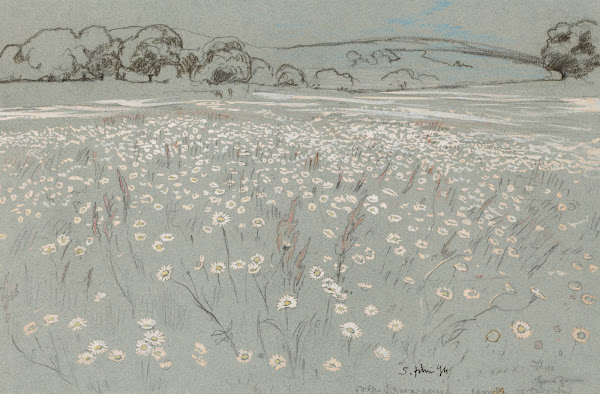 Meadow with Daisys 1894
