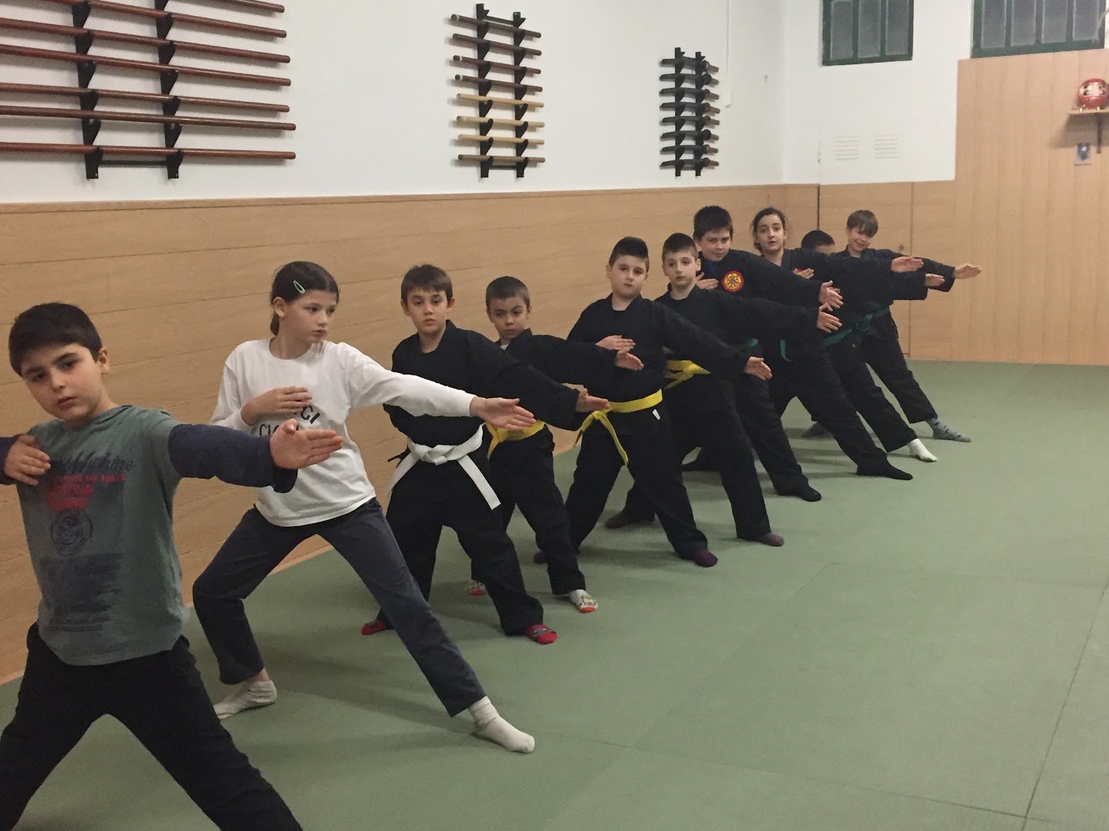 Kung Fu para la Paz