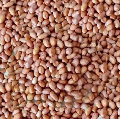 Rửa đậu phộng thật sạch, để khô ráo. Đập vỡ trứng, cho vào đậu phộng đã được rửa sạch để ráo.