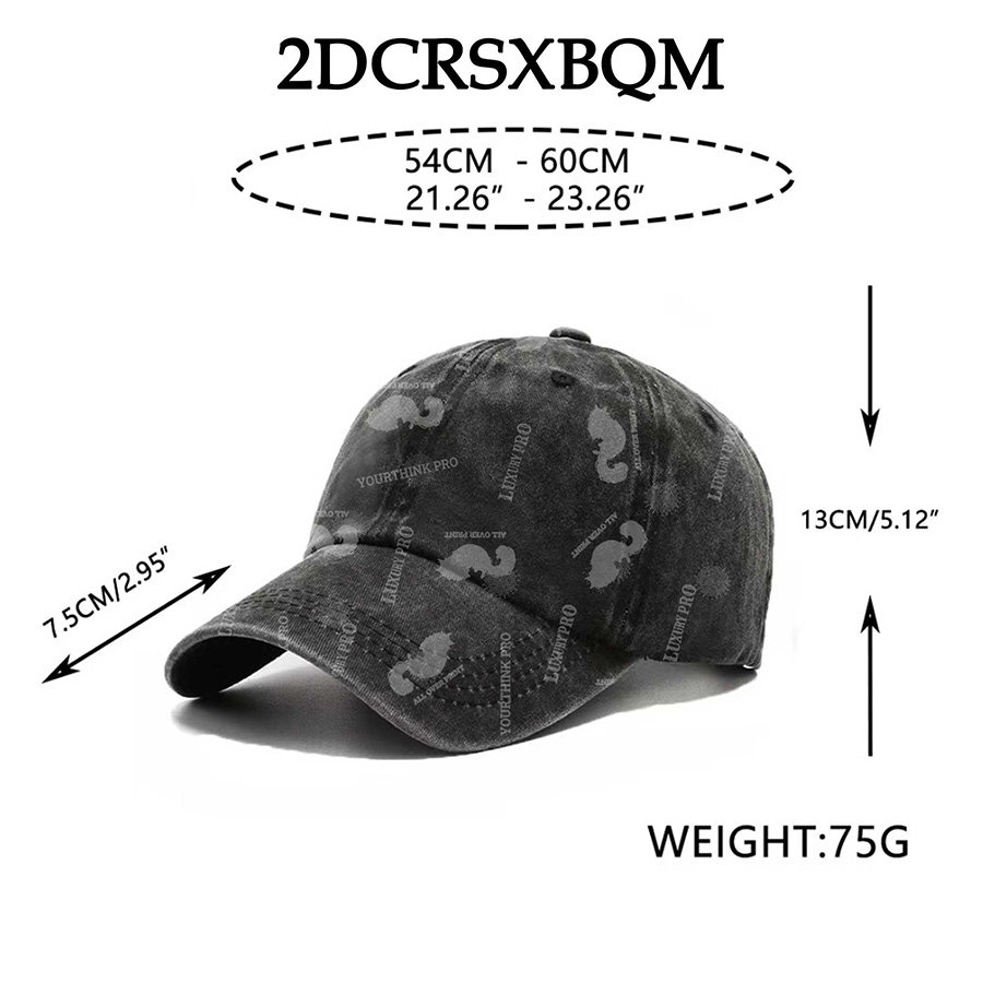 2D Adult Washed Baseball Cap