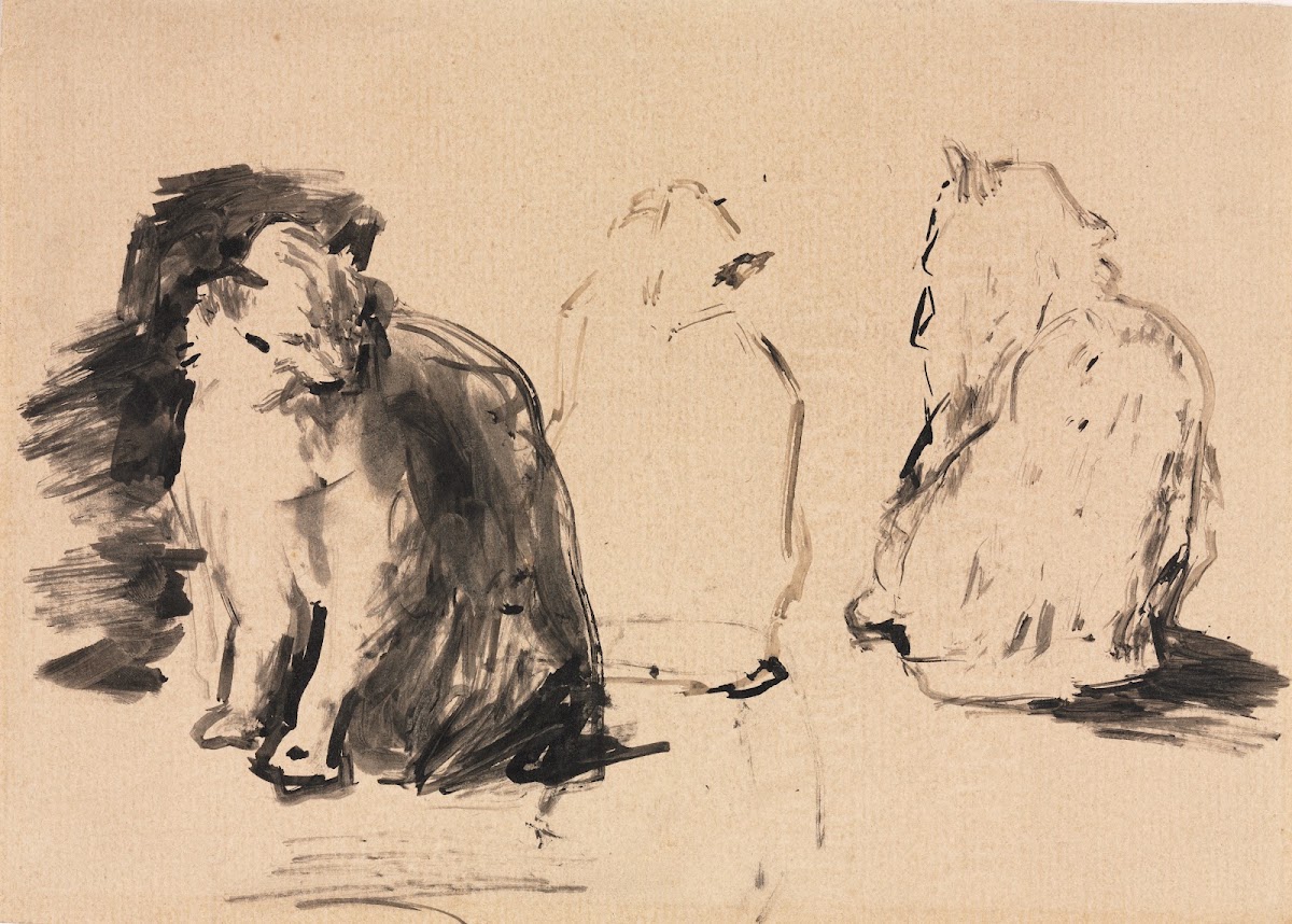 Cats