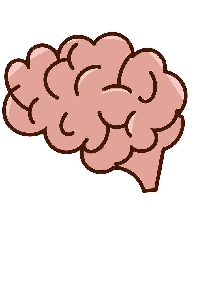 직관과 무의식 판단의 신경인지적 구조 분석