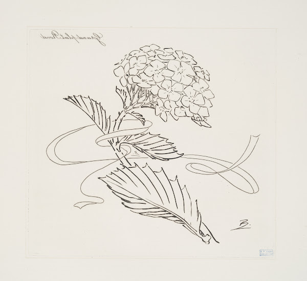 Grand plat rond hortensia 1866   1878