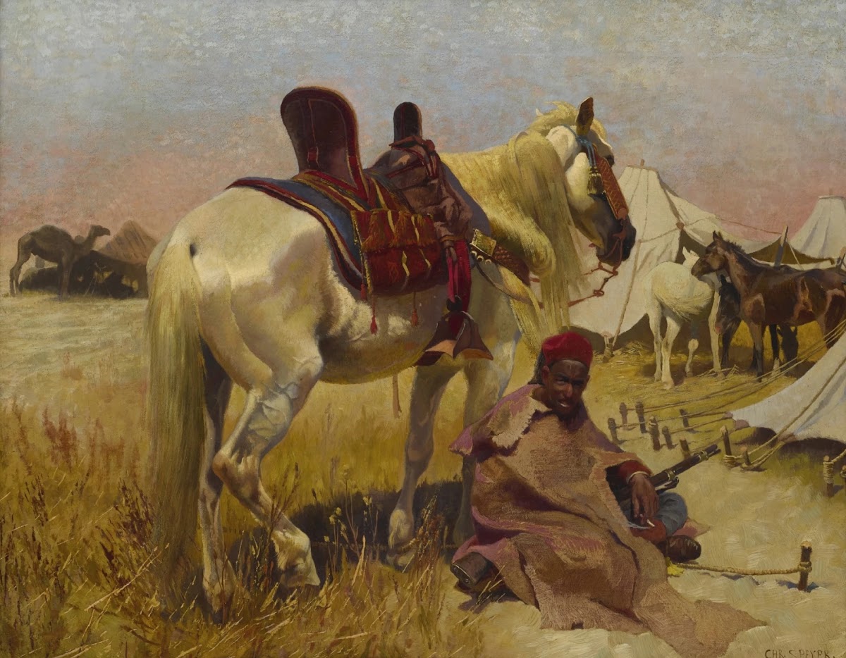 Cavalier arabe et son cheval au camp