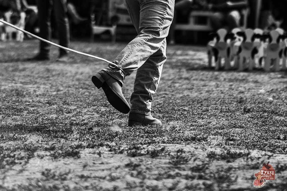 26072025 IMG 3731 2