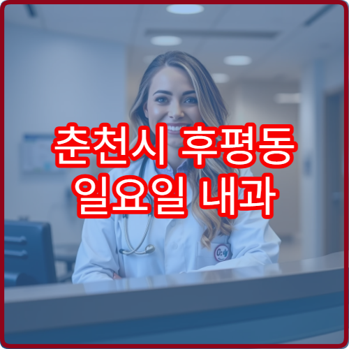 춘천시 후평동 일요일 내과 주말 진료 병원 안내