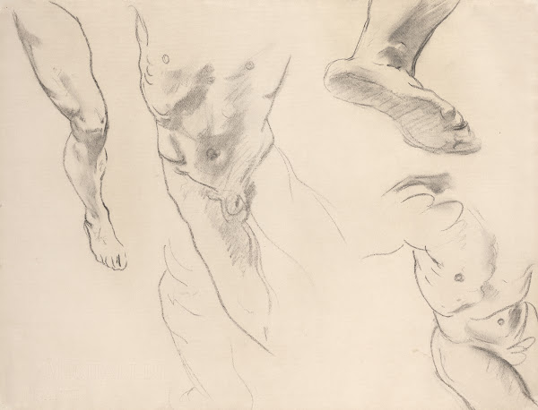 Figure Studies of a Nude Youth