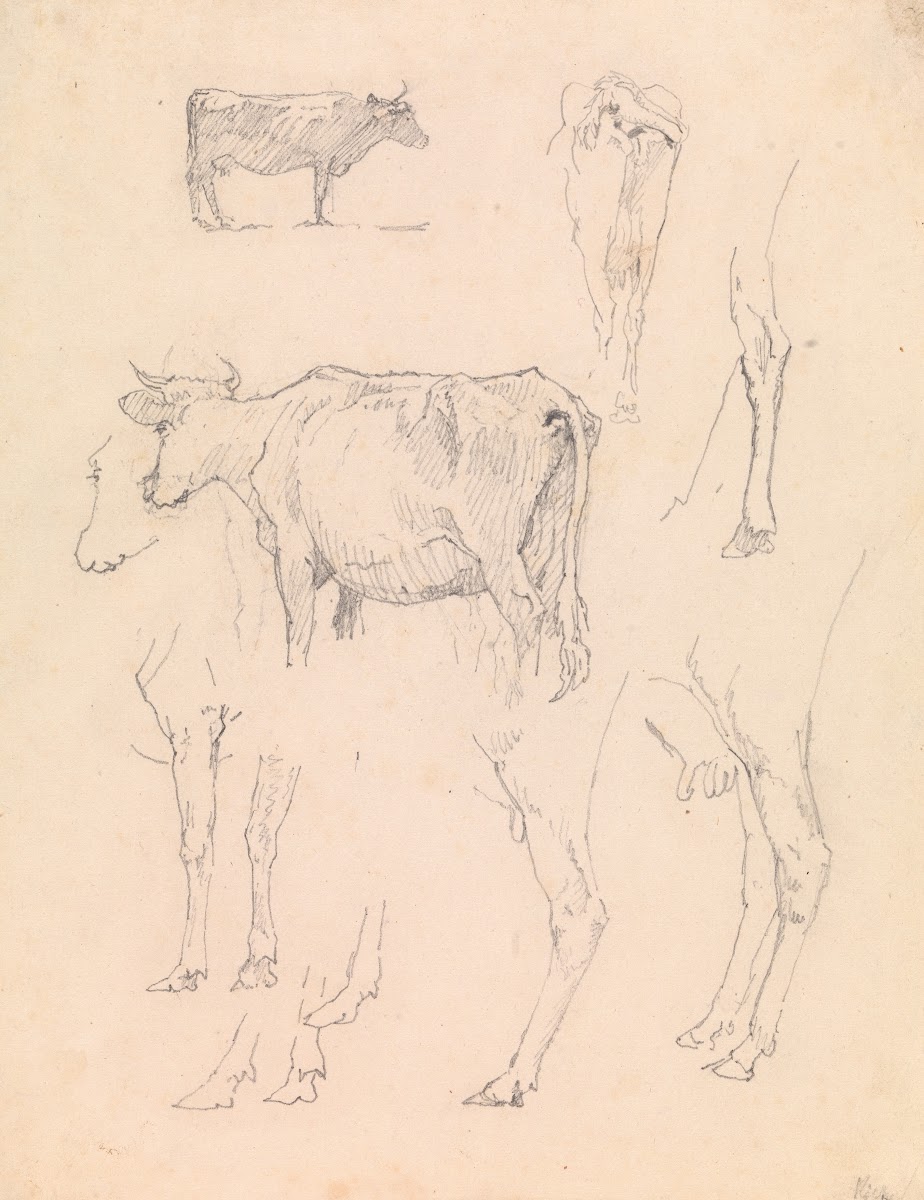 Køer 1836