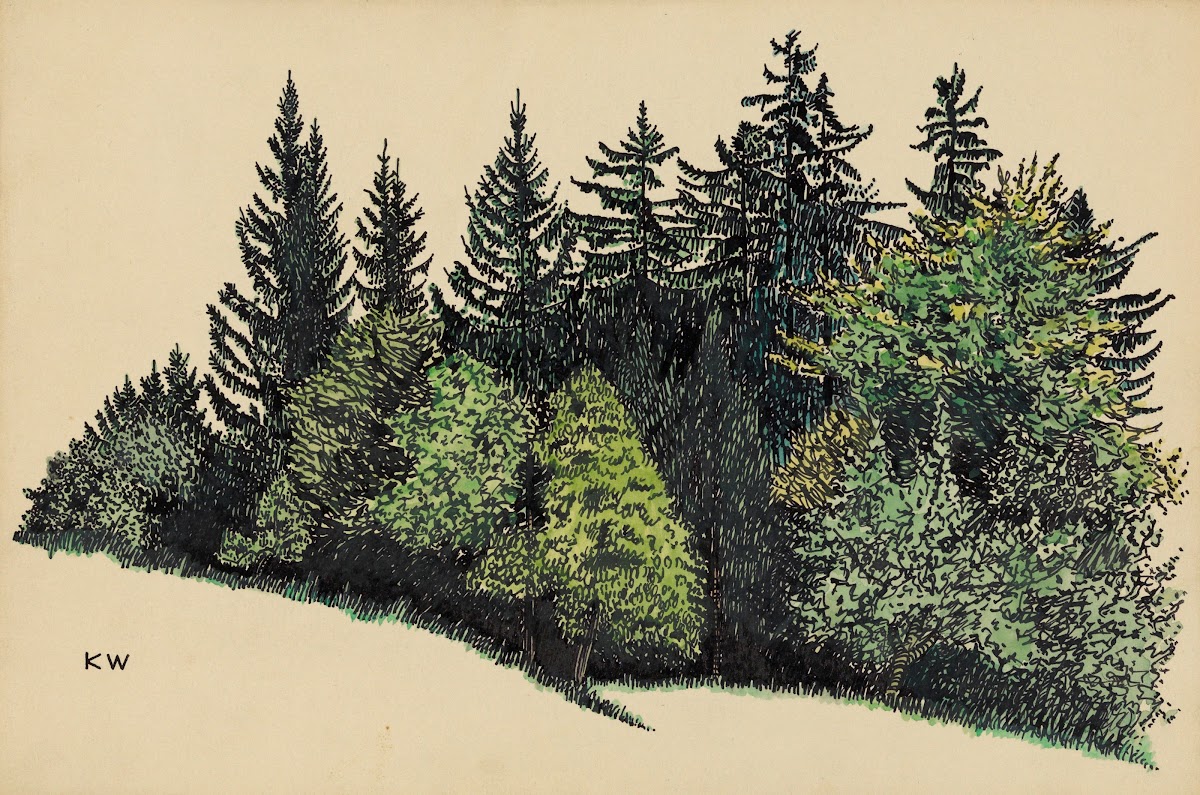 Ohne Titel Waldstück around 1924
