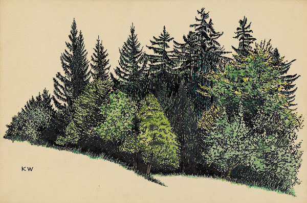 Ohne Titel Waldstück around 1924