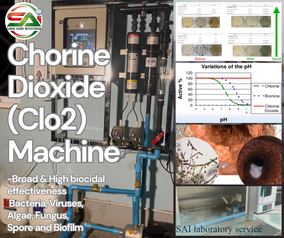 Chlorine Dioxide Datasheet