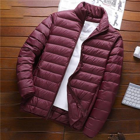 Men's winter jacket, lightweight, padded