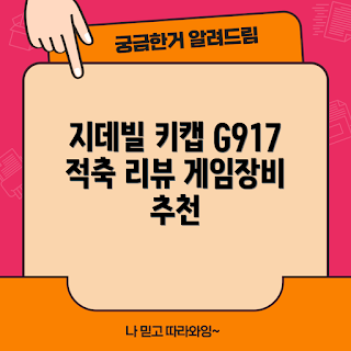 지데빌 키보드, 애니키캡, 기계식 키보드 리뷰, 게이밍 키보드 추천, 적축 키보드