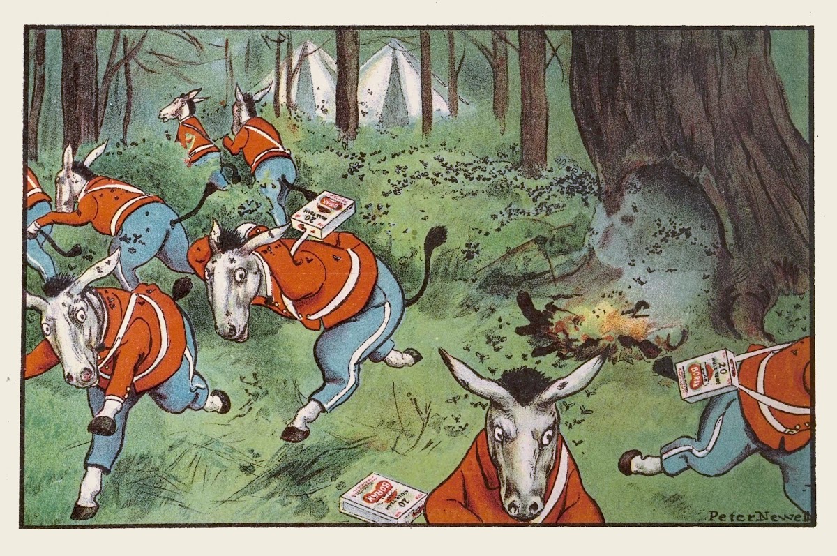 And how they chased those twenty mules and punchured well their hide 1904
